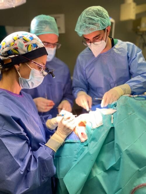 Operación de topsis palpebral: Dra. Salomé Abenza realizando cirugía